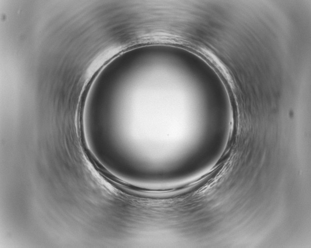 X0000088041293200705111221