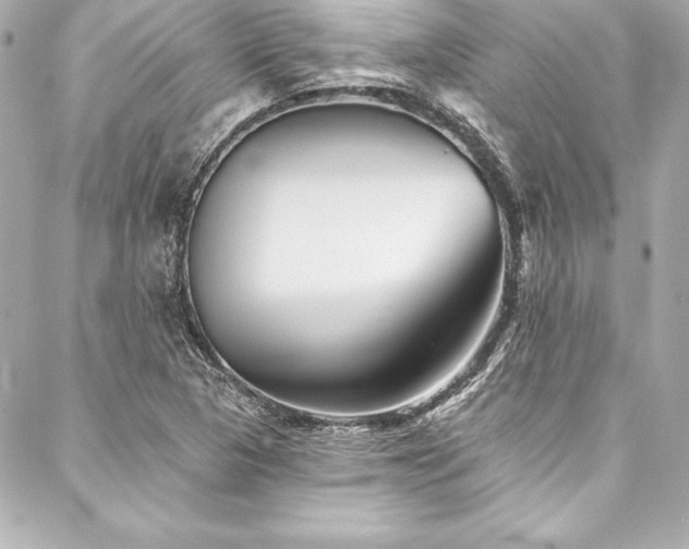 X0000088041313200705111221