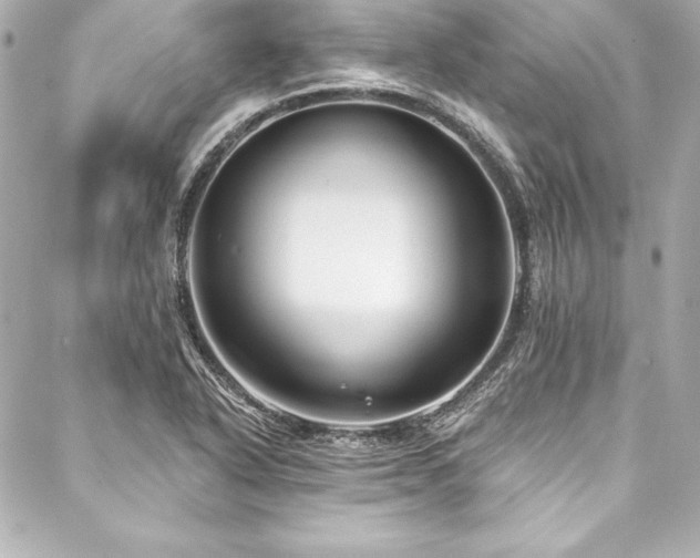 X0000088041318200705111221