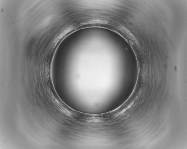 X0000088041321200705111221