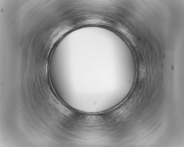 X0000088041322200705111221