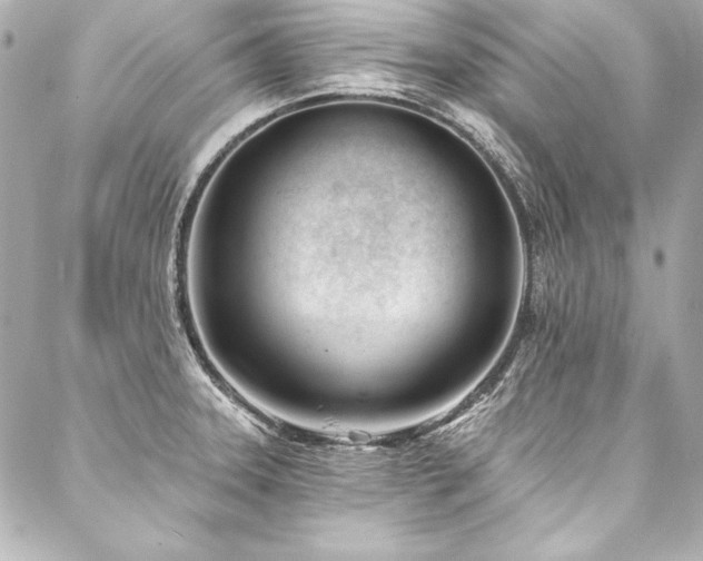 X0000088041331200705111221