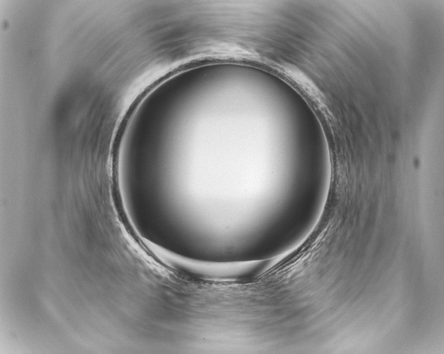 X0000088041335200705111221