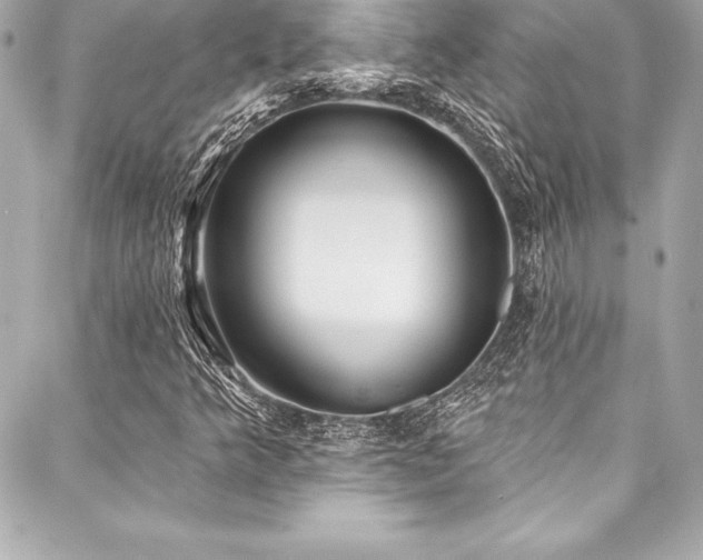 X0000088041349200705111220