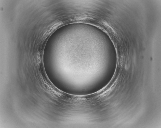 X0000088041353200705111220