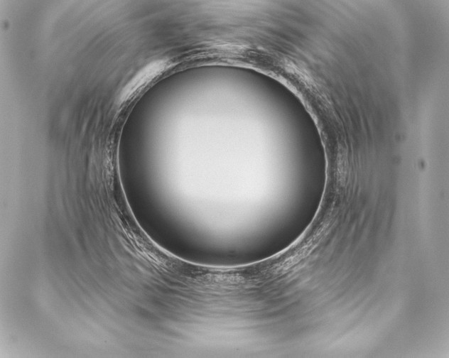 X0000088041354200705111220
