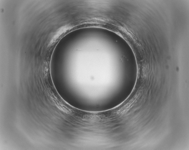 X0000088041355200705111220
