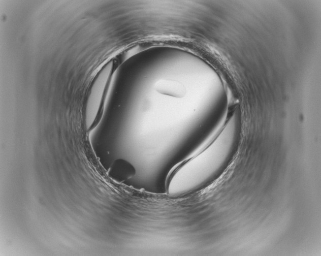 X0000088041361200705111220