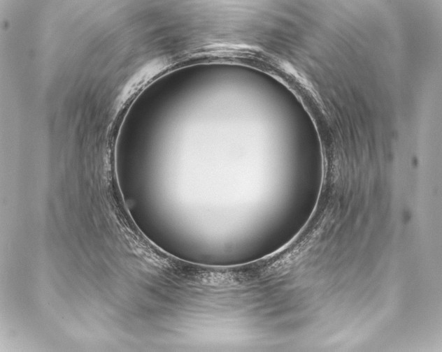 X0000088041362200705111220