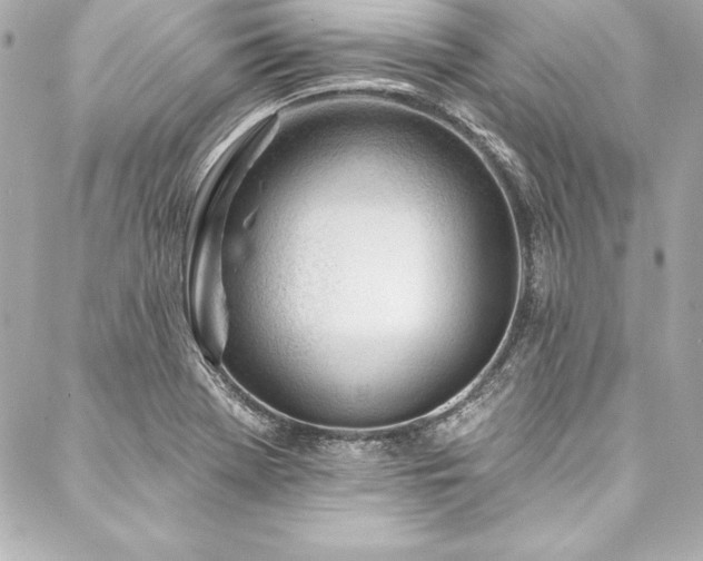 X0000088041369200705111220