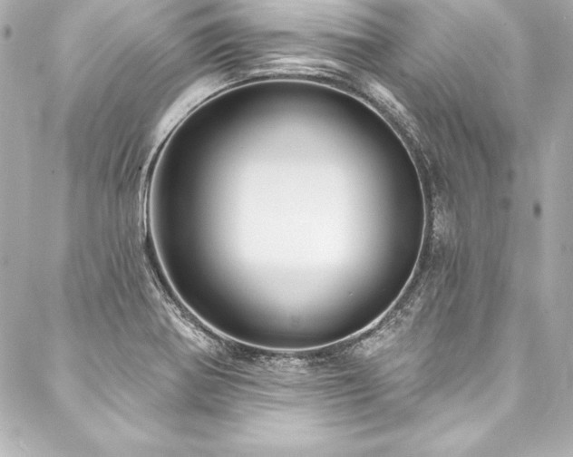X0000088041370200705111220