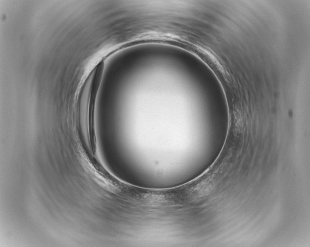 X0000088041371200705111220