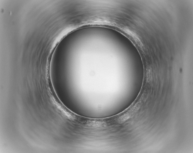 X0000088041374200705111220