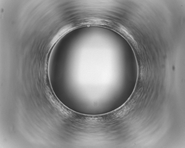 X0000088041378200705111220
