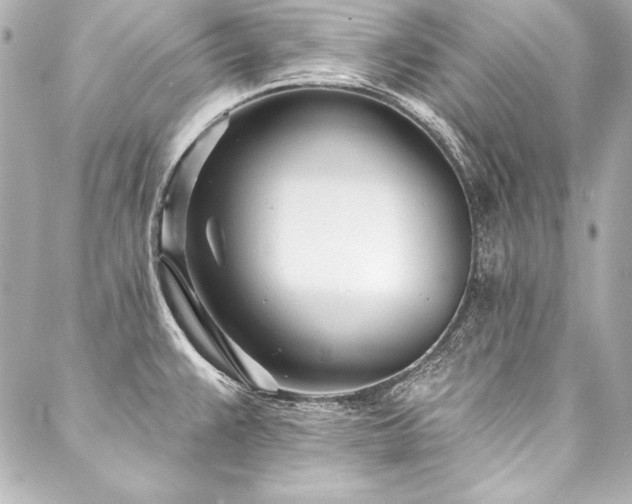 X0000088041383200705111220