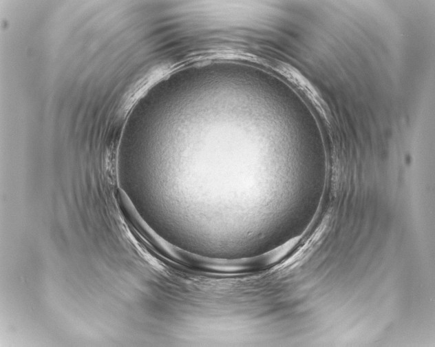 X0000088041385200705111220