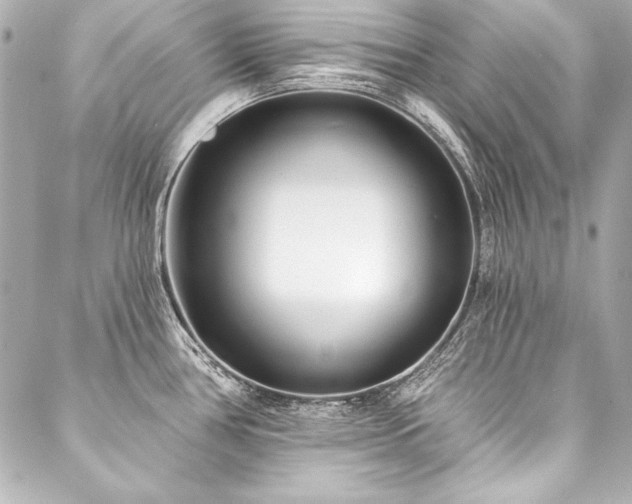X0000088041386200705111220