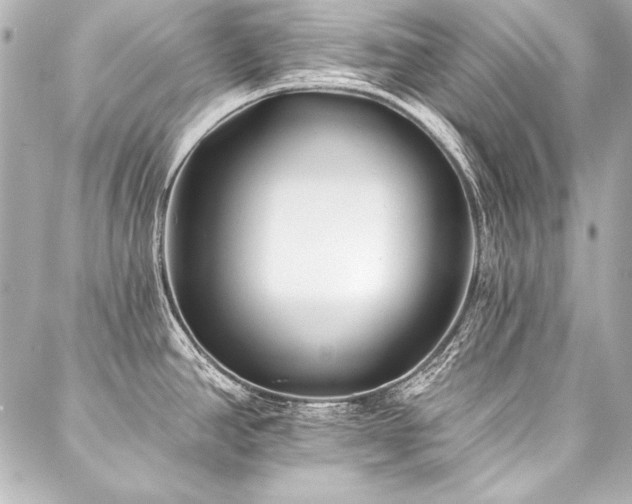 X0000088041390200705111220