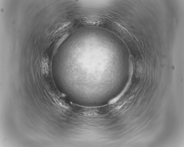 X0000088041394200705111219