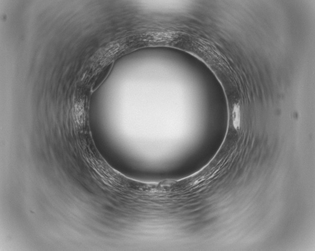 X0000088041395200705111219