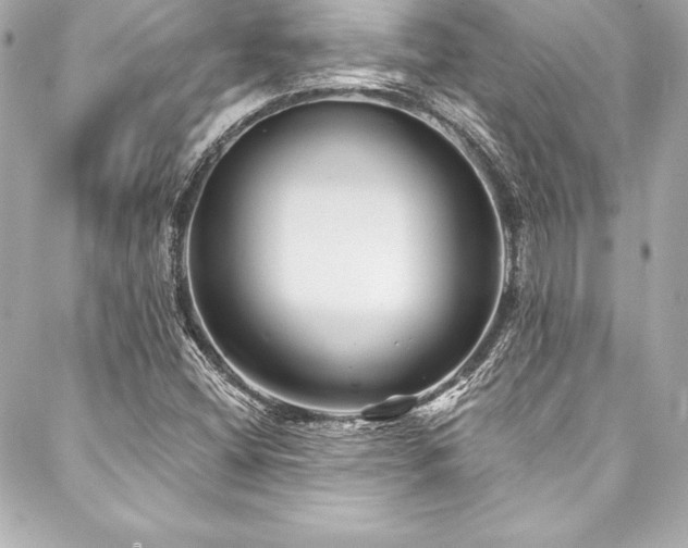 X0000088041404200705111219