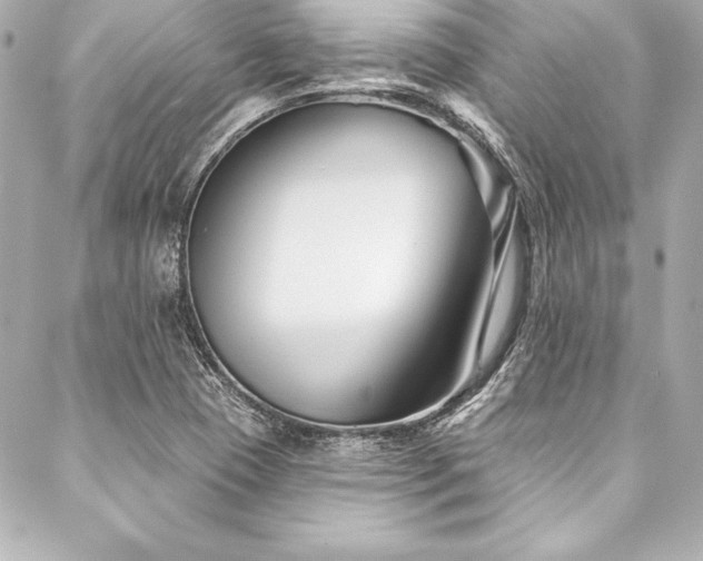 X0000088041409200705111219