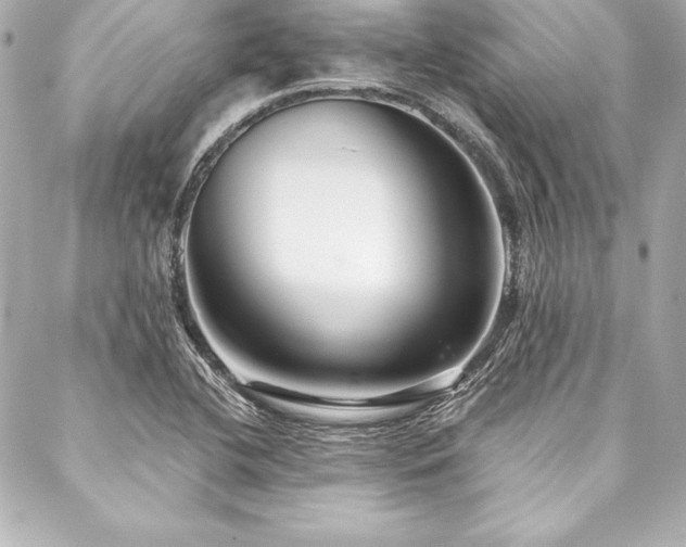 X0000088041412200705111219