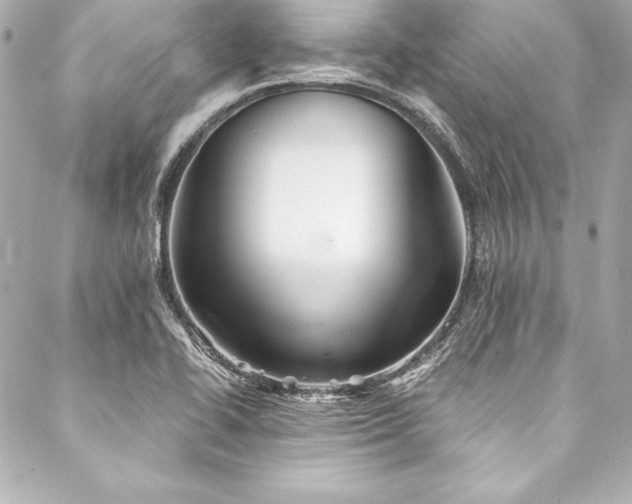 X0000088041414200705111219