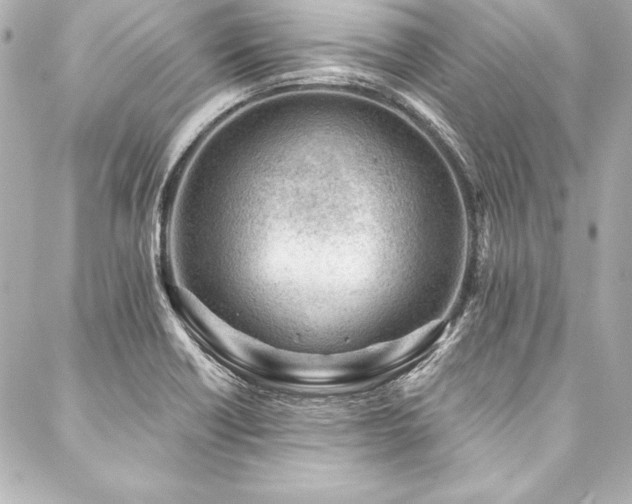 X0000088041418200705111219