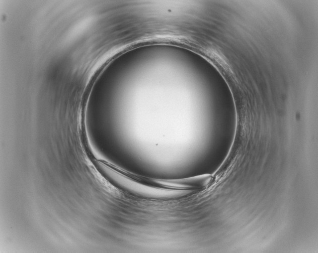 X0000088041420200705111219