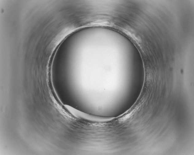 X0000088041423200705111220