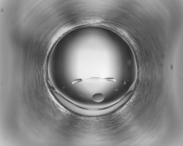 X0000088041432200705111220