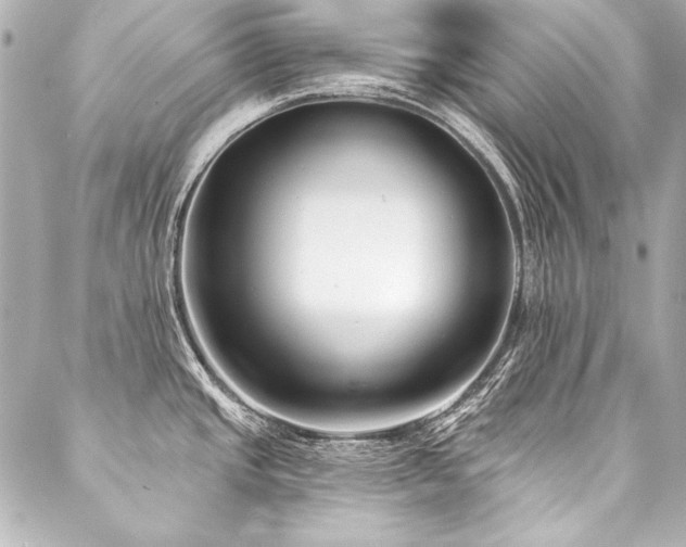 X0000088041437200705111220