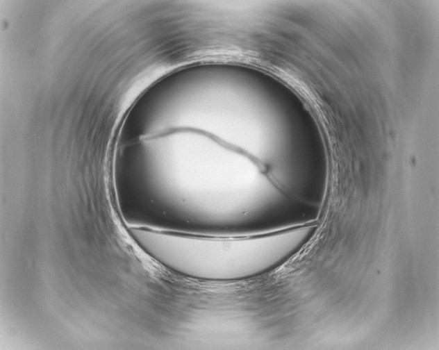 X0000088041440200705111220