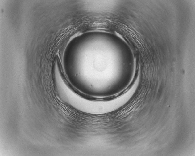 X0000088041441200705111219