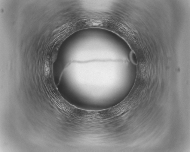 X0000088041442200705111219
