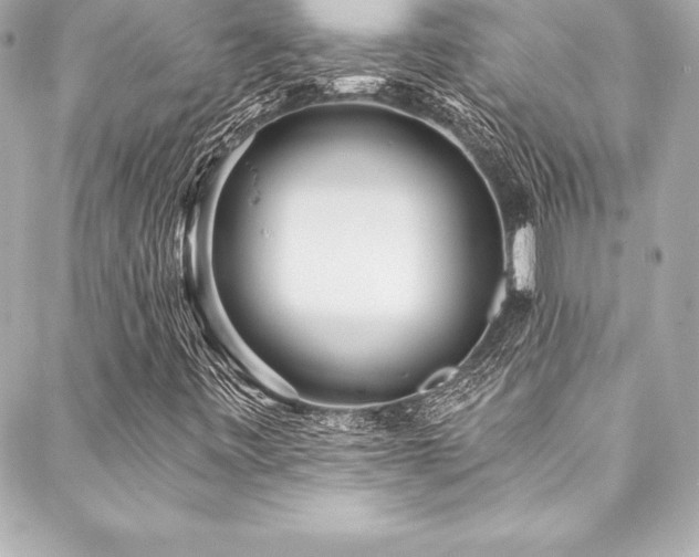 X0000088041443200705111219