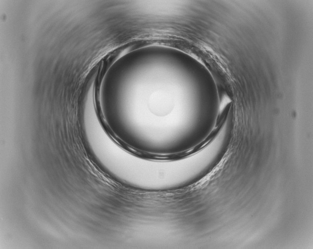 X0000088041449200705111219