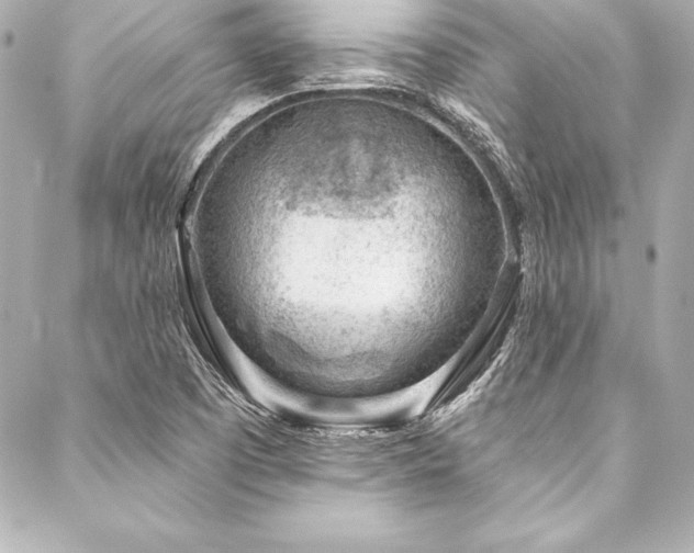 X0000088041457200705111219