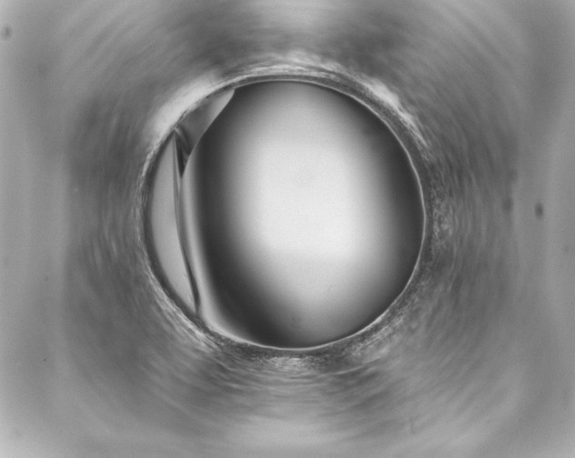 X0000088041463200705111219