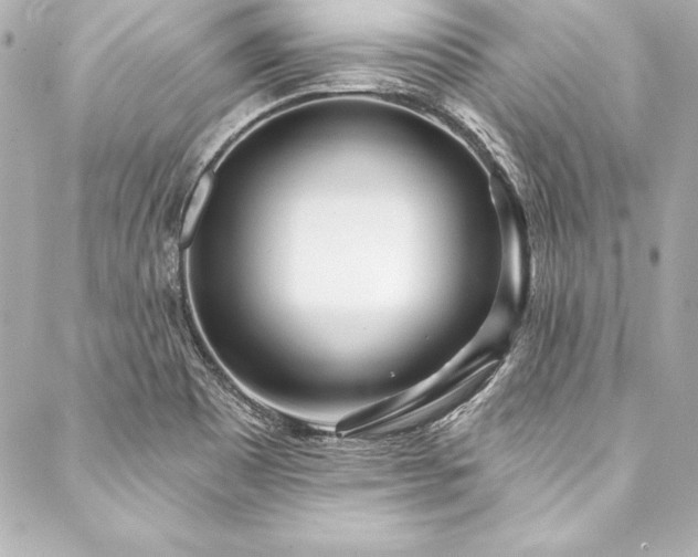 X0000088041465200705111219