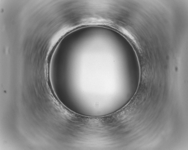 X0000088041472200705111219
