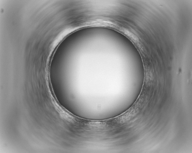 X0000088041478200705111218