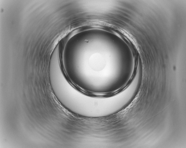 X0000088041481200705111218