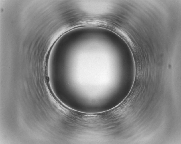 X0000088041483200705111218