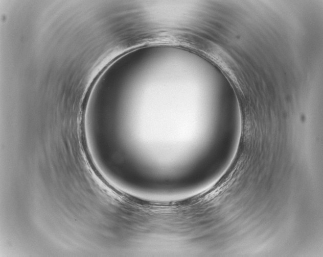 X0000088041484200705111218