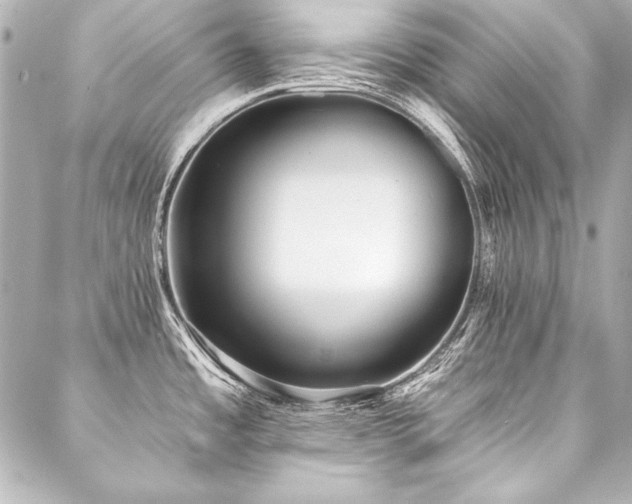 X0000088041485200705111218