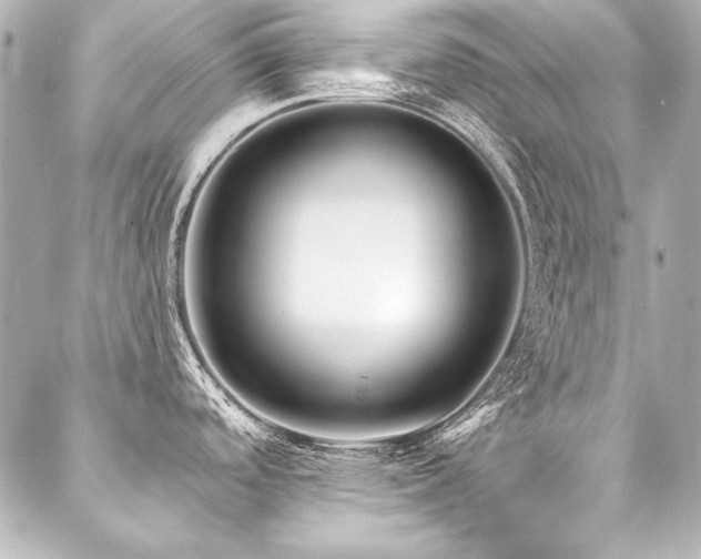 X0000088041488200705111218