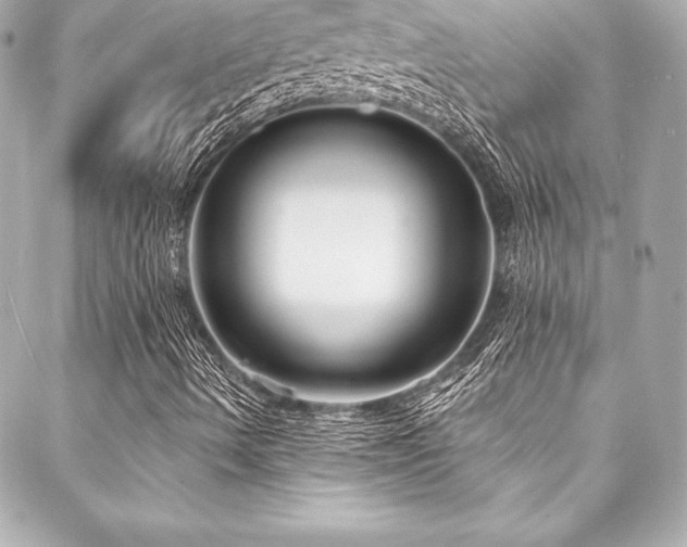 X0000088041490200705111217