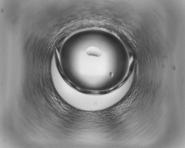 X0000088041492200705111218